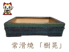 Japanese bonsai pot "Juko" Tokoname ware "Koyo Touen"