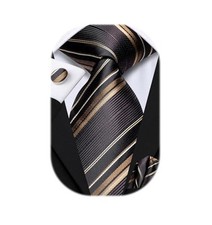 Ties for Men Silk Mens Paisley Floral Striped Necktie and Brown Coffee
