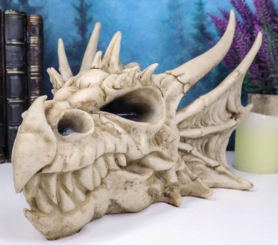 Ebros Elder Jurassic Dragon Head Skull Realistic Fossil Statue 9'' Long Figurine