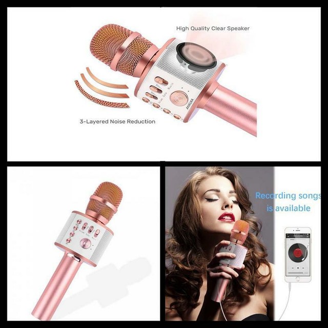 micpioneer wireless microphone karaoke speaker