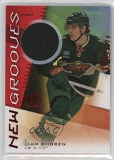 2024-25 Upper Deck SP Game Used New Grooves Jersey Liam Ohgren #NG-7 1mz4