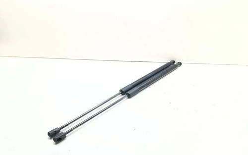 BMW X1 E84 Heckklappe Gasdruckfeder links 2990136 2.00 Diesel 130kw 33653055