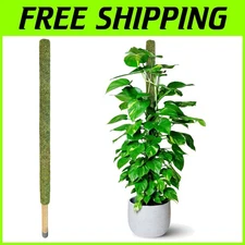 Tall Plant Stakes for Indoor & Outdoor Climbing Plants