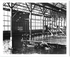 c.1900 SAN FRANCISCO SUTRO BATHS BATHERS WATCHING A COMPETITION~8x10 PRINT PHOTO