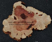 Maple Burl Slab Craft Wood DIY Cookie Cut Ma24-2071