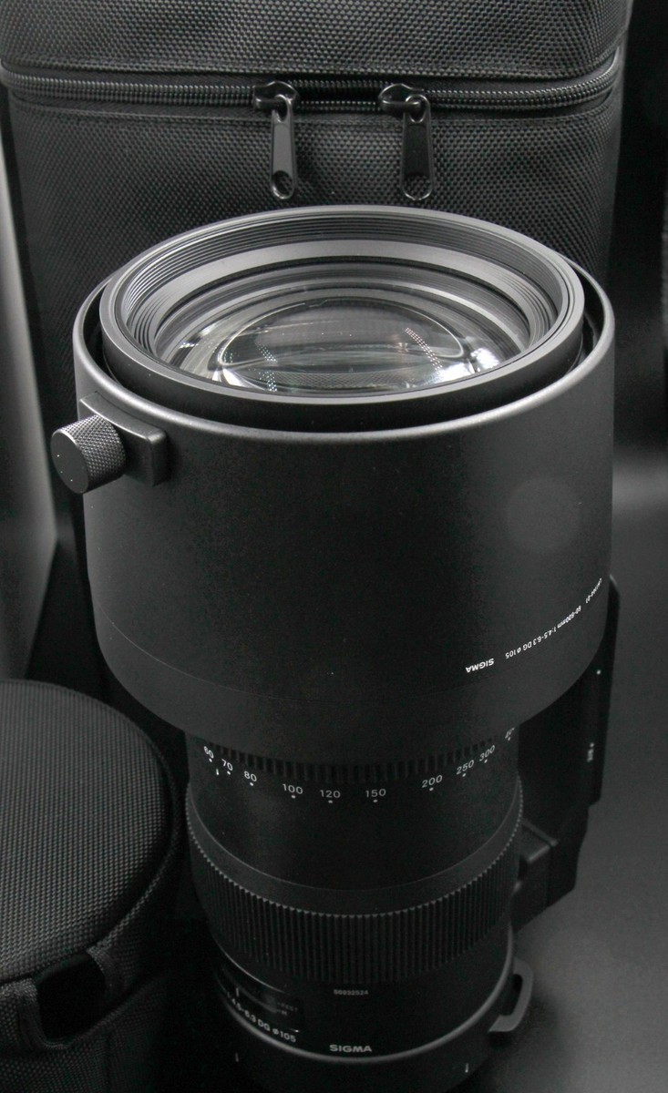 SIGMA - ＳＩＧＭＡ　ＥＯＳ６０－６００ｍｍ　Ｆ４．５－６．３ＤＧ　ＯＳ（Ｓ） product_img03.png