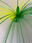 Bild 33 von 37