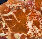 rawk11: Brecciated Jasper slab-Orange/Red/White Brecciated Patterns-California — photo 4