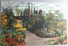 Cactus House Krohn Conservatory Eden Park Cin...