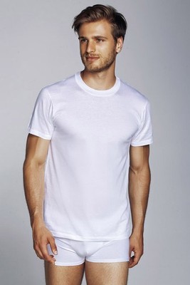 Brio cotton crew neck half sleeve knit art. clif