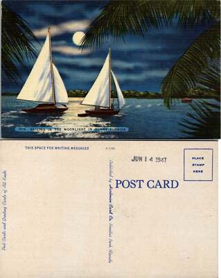 VTG Postcard - Sailing in the Moonlight in Sunny Florida - 1947