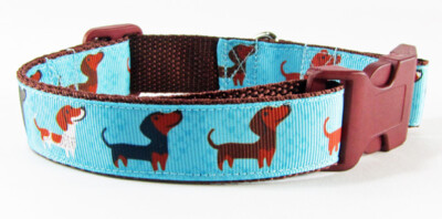 weiner dog collars