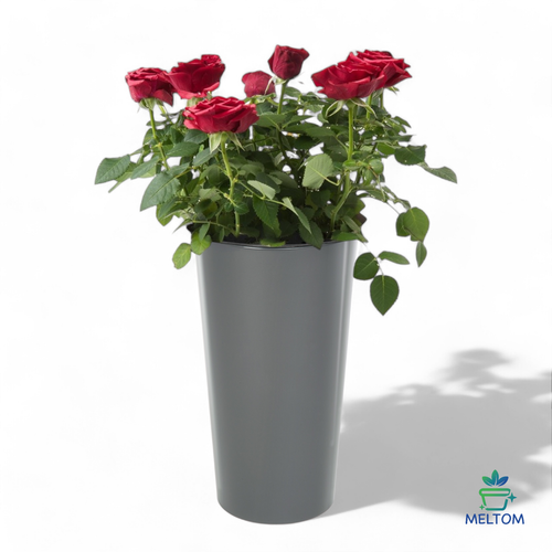 Blumenkübel Hochglanz Rund Slim Blumentopf Pflanzkübel anthrazit 5 Größen NEU! - Bild 10 von 17