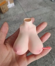 1:6 Normal Skin Big Breast Bust Kits Cover Fit 12'' Female PH TBL Figure Body