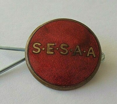 S.E.S.A.A UNBEKANNTES EMAILLE ANSTECKABZEICHEN