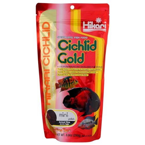 Hikari 8.8-Ounce Cichlid Gold Floating Pellets for  Assorted Sizes , Colors 