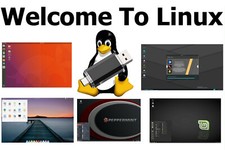8 in1 Multiboot Linux 32GB Live USB Mint Arch Tails Manjaro linux challenge