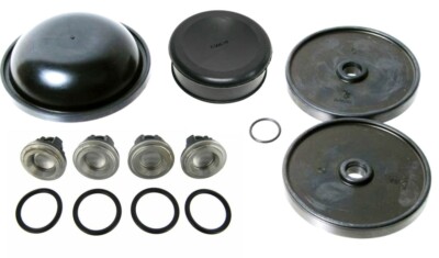 Hypro D30 Buna (Black) Diaphragm Pump Repair Kit