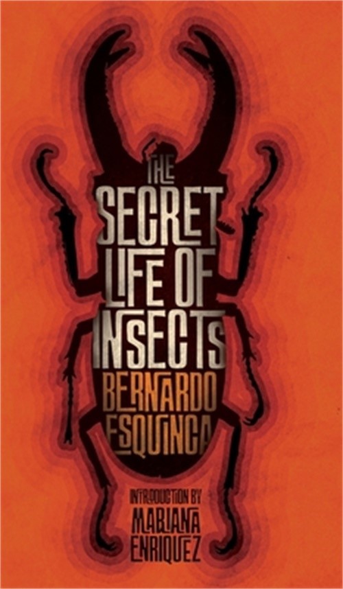 The Secret Life of Insects and Other Stories (Hardback or Cased Book)