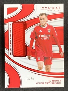 Panini Immaculate | eBay