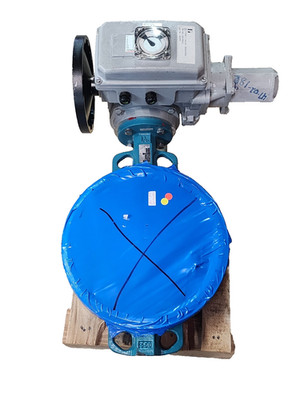 INTERAPP GEMU Butterfly Valve DI0350 03 New L562087