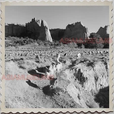50s WINDOW ROCK NAVAJO NATION APACHE ARIZONA NEW MEXICO SHEEP OLD USA Photo 9993