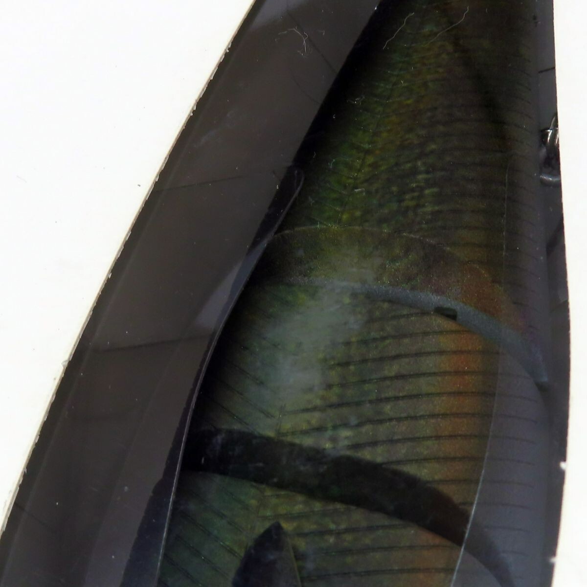 Madotachi HANITAS PLUS REAl OCHI AYU 2os 180mm Floating Made in Japan Swimbait - Image 4