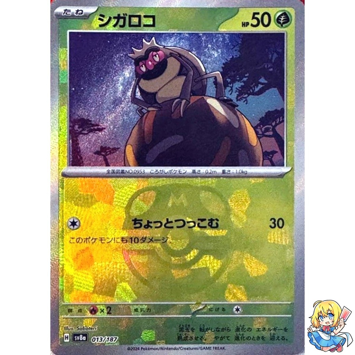Rellor Master Ball Holo 013/187 Terastal Festival ex SV8a Pokemon