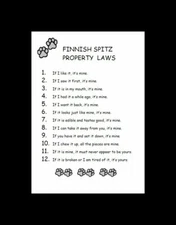 Finnish Spitz - CUSTOM MATTED - Dog Art Print - P/L