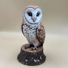 Barn Owl - Indoor Only