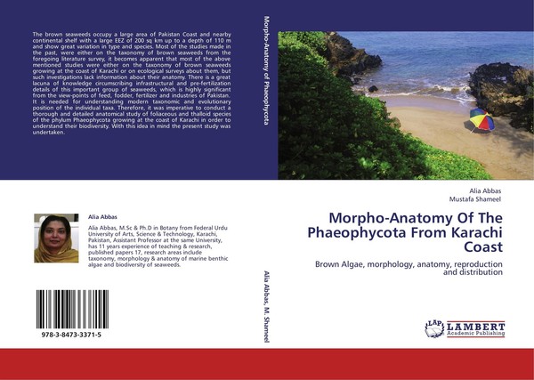 Morpho-Anatomy Of The Phaeophycota From Karachi Coast Alia Abbas-image