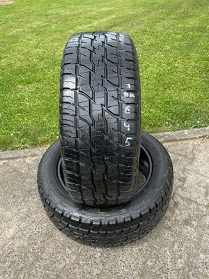 2x Cooper Discoverer ATT 215/55 R17 98H XL M+S Sommerreifen DOT2019 6mm TOP