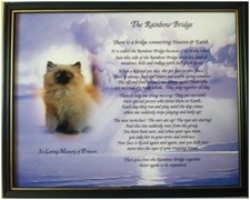 The Rainbow Bridge Memorial 14" x11" Photo Gift for Loss of a Pet Optional FRAME