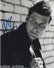 Parker Young Autographed Signed 8x10 Photo COA 