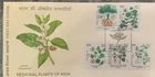 India 2025  Medicinal Plants fruit Ayurveda Health Medical theme Stamped FDC