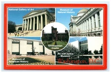 Art Gallery Natural History Museum Smithsonian Views Washington DC Postcard
