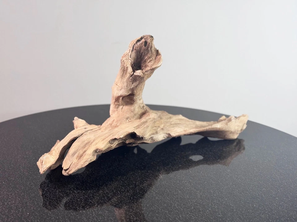 21-дюймовая натуральная коряга — скульптурная изогнутая деревянная деталь — декор аквариума, террариума - Изображение 3 из 4