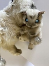 VINTAGE Plush Stuffed   " HIMALAYAN CAT "   Wallace Berrie / Avanti  Kitten