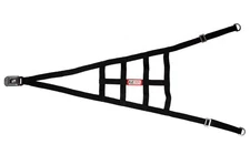 RJS Racing Equipment 10001501 NON-SFI Ribbon ROLL CAGE Net 2 Point BLACK