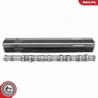 Esen SKV Nockenwelle 80SKV025 FüR Hyundai Travel TQ Cargo Starex Bus A1 H350 HR