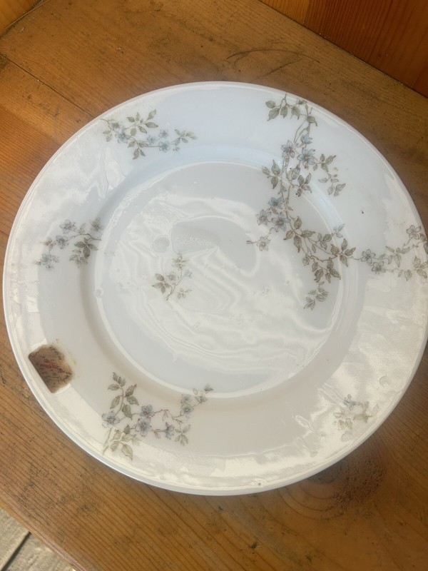 Vintage H&Co, Smooth, Blue Flowers Schleiger by Haviland Plate