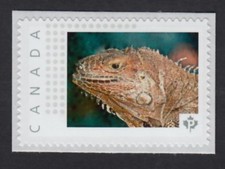 GREEN IGUANA = LIZARD = Picture Postage stamp MNH Canada 2015 [p15-12sn3]