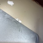 Picture 9 of 11