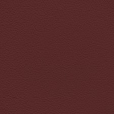 Mercedes Burgundy Leather Dye