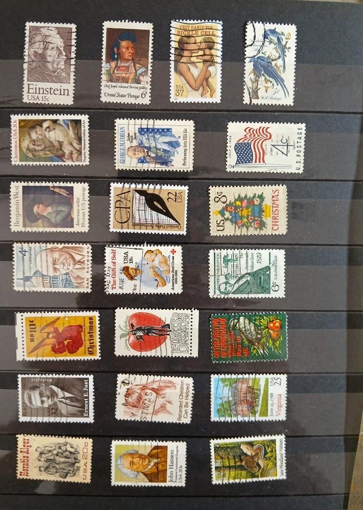 Picture 11 of 12