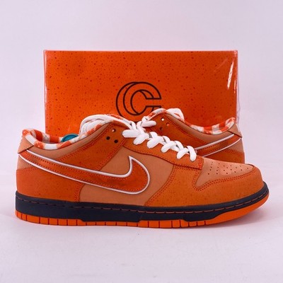 Nike SB Dunk Low 