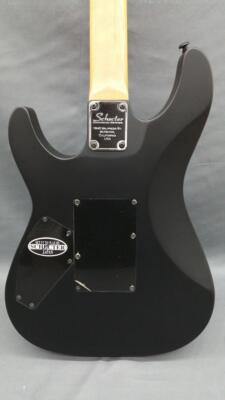 [激安] Schecter Damien Platinum 6 62b311149179zjOIGtSxYr9cmNKGUL