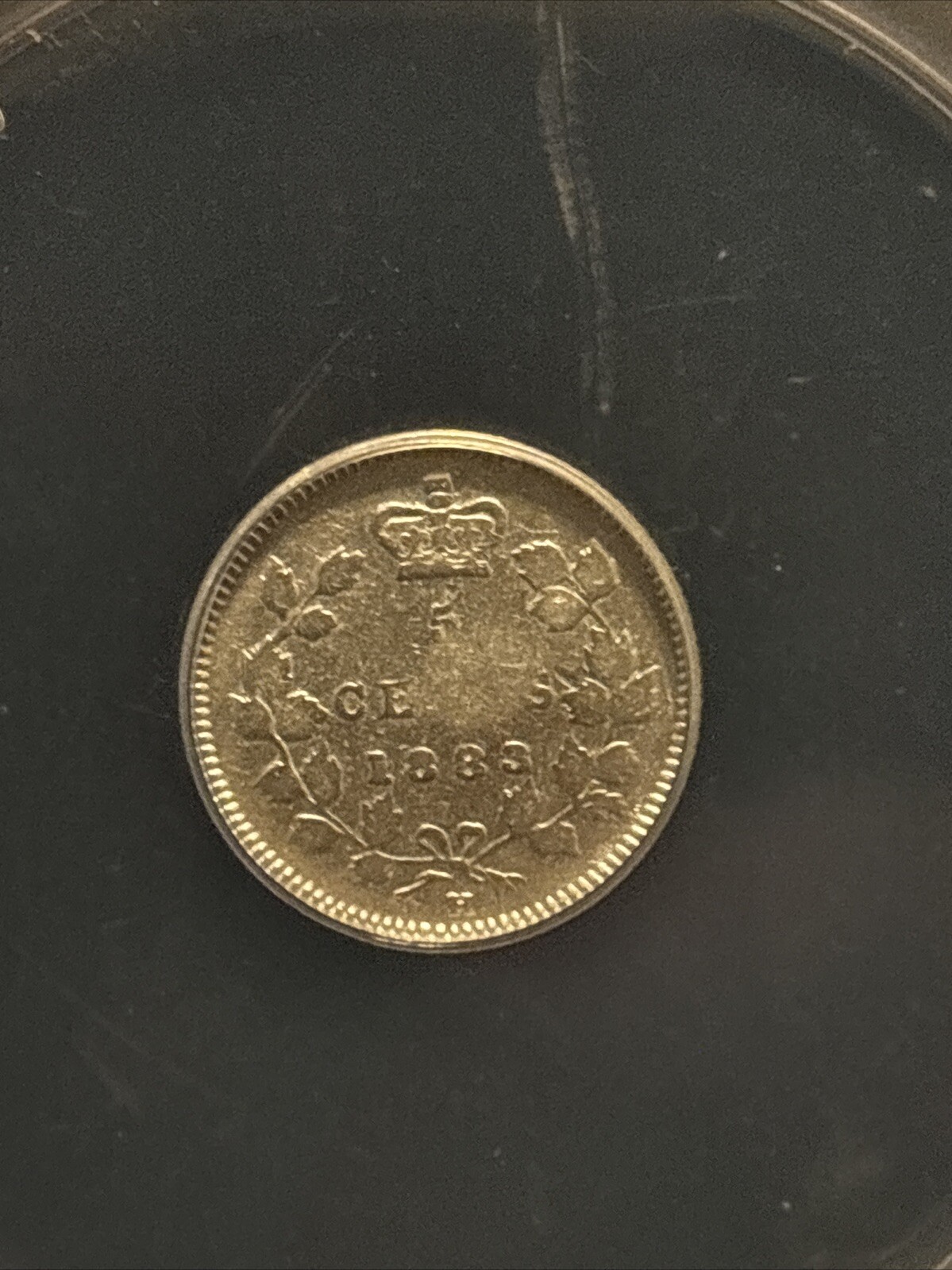 Picture 4 of 9
