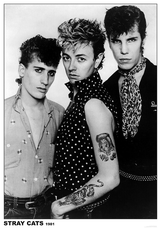 The Stray Cats 1981 Poster 23.5x33 inch | eBay