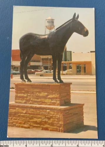 Vintage 1960s EXOTIC MULE Symbol of Muleshoe Texas Travel Souvenir POSTCARD TX